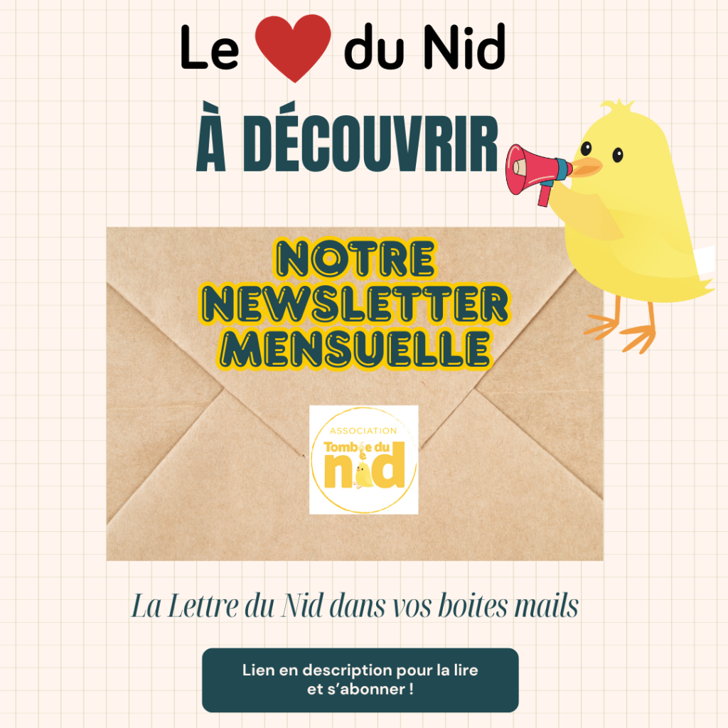 Newsletter-1024x1024